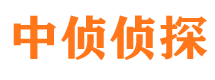 龙亭侦探公司